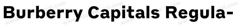 Burberry Capitals Regula字体转换